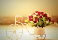 爱情经典短句(能否推荐些现在流行的英文原版书籍或读物最好是纸质版)