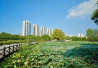 美丽河南平顶山图片：白龟湖、城市湿地与自然景观