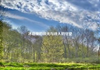 冰箱里的微光与诗人的守望