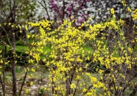 2020年微信签名(2021年1月1日实施的司法解释)