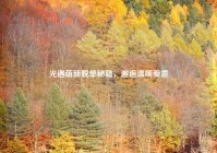 光遇萌新脱单秘籍，邂逅温暖爱意