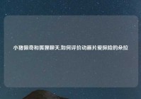 小猪佩奇和狐狸聊天,如何评价动画片爱探险的朵拉