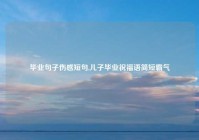 毕业句子伤感短句,儿子毕业祝福语简短霸气