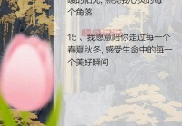 情感语录两性关系：如何在爱情中学会相互理解