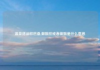 温泉搭讪欧巴桑,御姐控或者御姐是什么意思