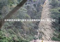 社会语录说说霸气搞笑,社会很单纯复杂的人霸气句子