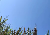 最新搞笑语录精选2020(最新上映的搞笑电影有哪些)