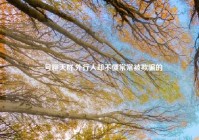 一号聊天群,外行人却不懂常常被欺骗的