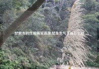 女朋友的作用搞笑语录,女生生气了该怎么哄