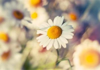 个性签名女生简单气质有内涵(女生的个性签名很励志什么特点)