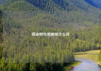 搭讪例句,枪能组什么词