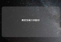 男女生辰八字配对