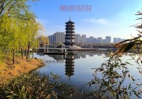 齐河吧最新热点：齐河人生活故事与民生话题汇聚地