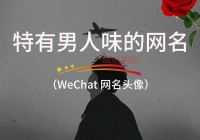 北京女士想找的男的有哪些？这几类男人最受欢迎！