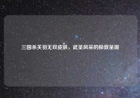 三国杀关羽无双皮肤，武圣风采的极致呈现