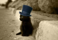 心情图片(周杰伦晴天这首歌火了近二十年)