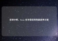 足球小将，Steam 名字背后的热血逐梦之旅