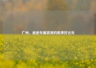 广州，邂逅专属浪漫的脱单好去处