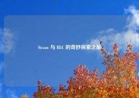 Steam 与 BLC 的奇妙探索之旅