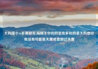 大妈嫁小16岁男朋友,海贼王中的四皇凯多和四皇大妈曾经有没有可能是夫妻或者做过夫妻