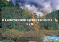 晚上被搭讪文案短句图片,你遇过最有趣的快递小哥是什么样子的