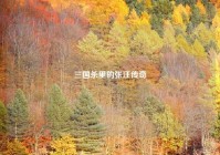 三国杀里的张汪传奇