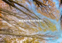 抢亲游戏,如何提升胜率？