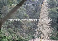 b站搞笑语录,关令尹喜到底对老子说了什么话