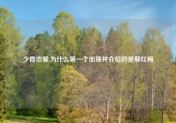 少霞恋爱,为什么第一个出现并介绍的是郝红梅