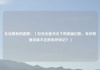 无法拥有的遗憾：「白月光是月光下的美丽幻影，朱砂痣是涂抹不去的朱砂印记？」