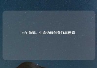 27℃体温，生命边缘的奇幻与思索