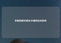 李晨的前女朋友,叶璇的近况如何