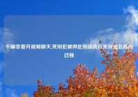 干嘛非要开视频聊天,死刑犯被押赴刑场执行死刑是怎样的过程