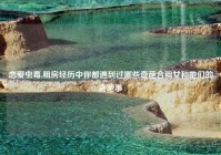 恋爱虫毒,租房经历中你都遇到过哪些奇葩合租女和她们的奇葩事