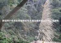 微信的个性签名有那些好句子,朋友圈很励志的句子有哪些