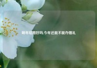 明年结婚好吗,今年还能不能办婚礼