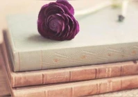 爱情说说短句 暖心语八字(情感短句深情且动人句句暖心情侣)