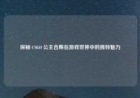 探秘 CSGO 公主合集在游戏世界中的独特魅力