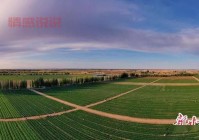 甘肃金昌为什么出美女？原来和这些因素有关系！