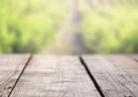 致自己的心情句子(人在心情烦燥时为什么会自言自语)