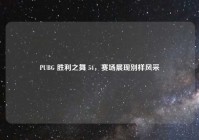 PUBG 胜利之舞 54，赛场展现别样风采