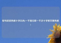 短句说说伤感十字以内(一千场元歌一千次十字斩文案伤感)