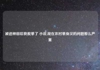 被迫种田后我脱单了 小说,现在农村单身汉的问题那么严重