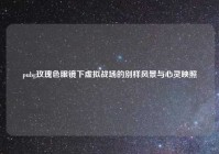 pubg玫瑰色眼镜下虚拟战场的别样风景与心灵映照
