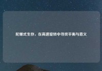 陀螺式生存，在高速旋转中寻找平衡与意义