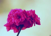 个性签名有内涵有深度简短(情侣个性签名一对简短高级感)