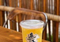 想在湛江同城约会，有没有什么好的推荐呢？