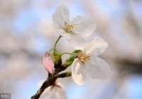 八字伤感短句(八字女人心酸扎心短句)