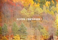 名字符号（到底有多重要）