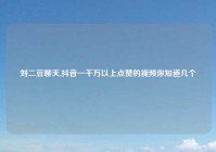 刘二豆聊天,抖音一千万以上点赞的视频你知道几个